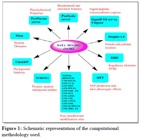 Jabcb-representation