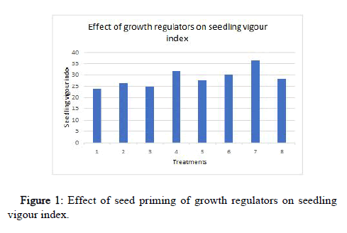 Jppp-growth