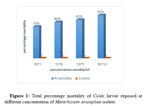 VBJ-mortality