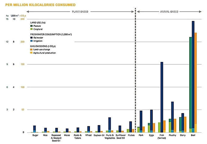 biodiversity-management-production