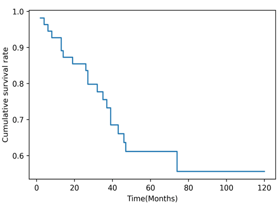 clinical-experimental-oncology