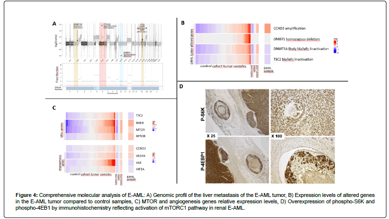 clinical-oncology-Genomic