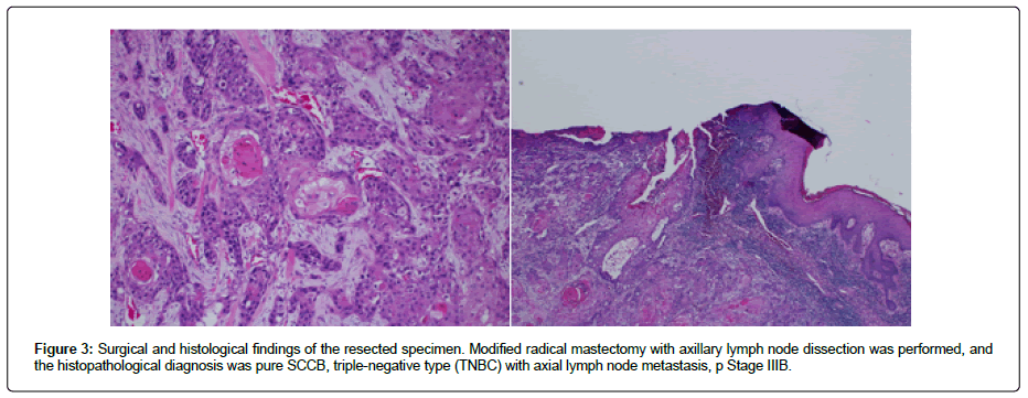 clinical-oncology-SCCB clinical-oncology-SCCB