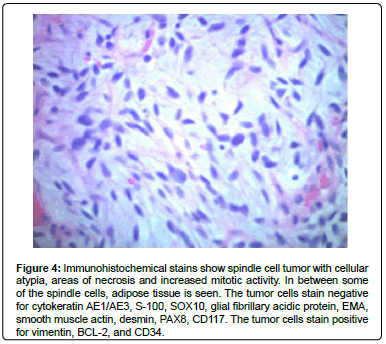 clinical-oncology-necrosis