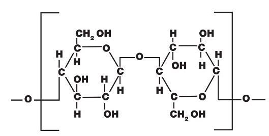 fashion-technology-cellulose