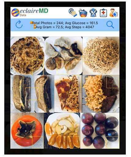 journal-food-meals