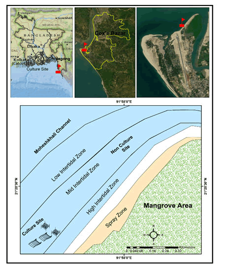 journal-marine-biology-oceanography