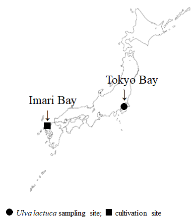 journal-marine-location journal-marine-location