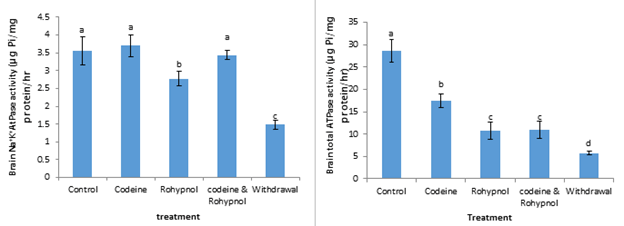 journal-pharmaceutics-rats