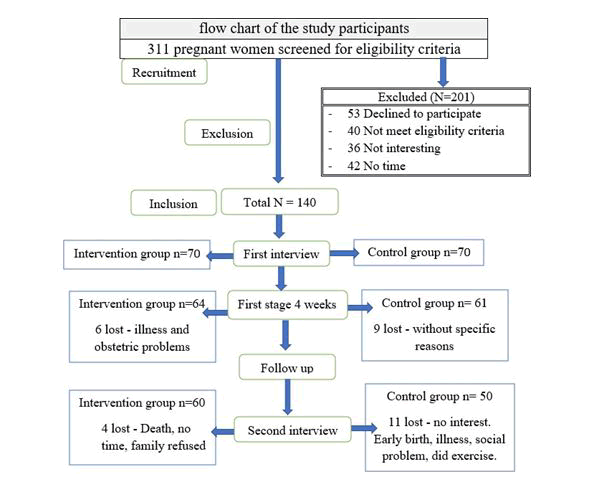 journal-physiotherapy-flowchart