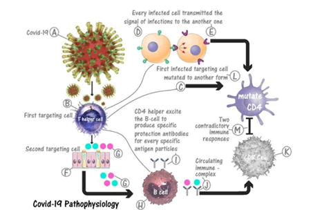 journal-virology-coronavirus