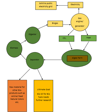 nuclear-energy-biomass