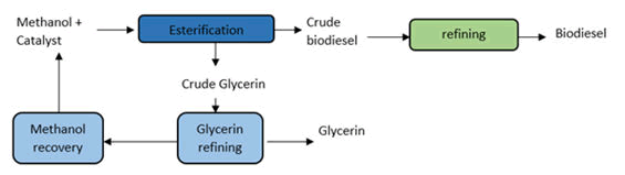 nuclear-energy-esterification