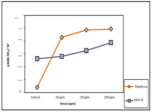 plant-physiology-boron