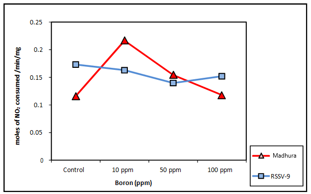 plant-physiology-boron