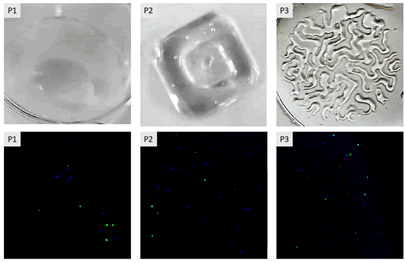 regenerative-medicine-cell