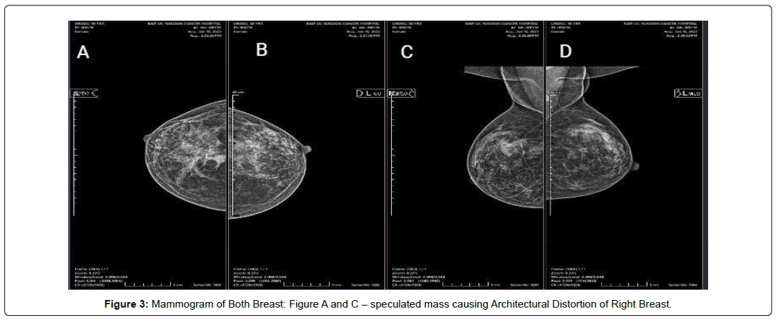 regenerative-medicine-computed-tomography