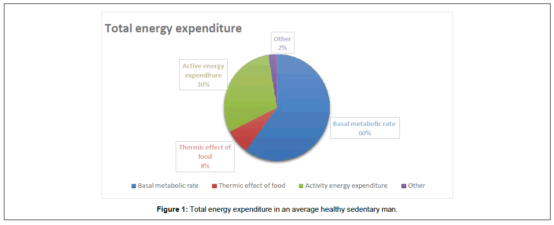 regenerative-medicine-energy-expenditure