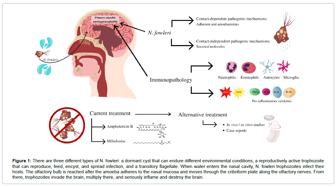 regenerative-medicine-environmental-conditions