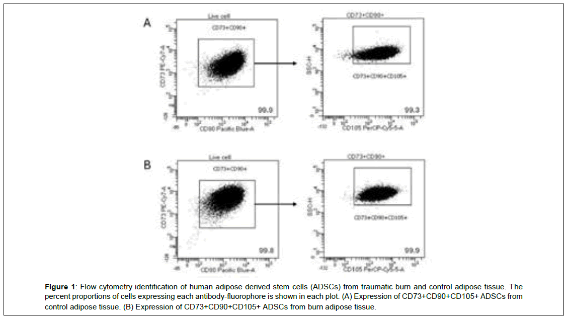 regenerative-medicine-extracellular-acidification