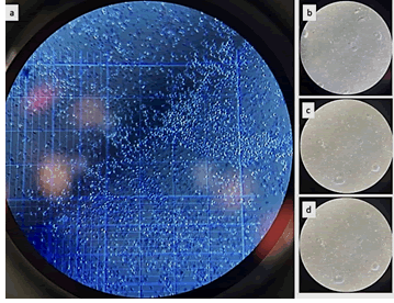 regenerative-medicine-incubation