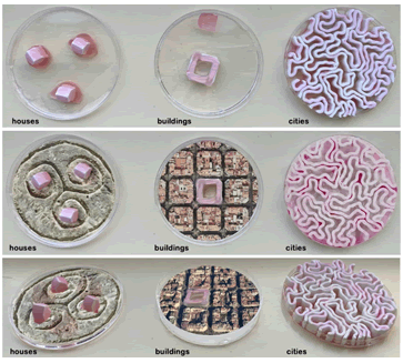 regenerative-medicine-prototypes