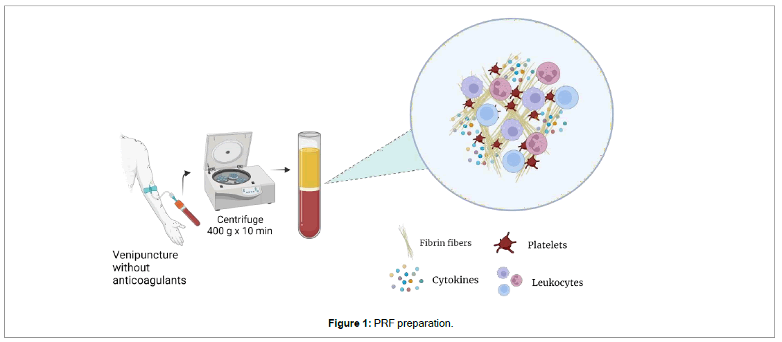 regenerative-medicine-treatment-proposal