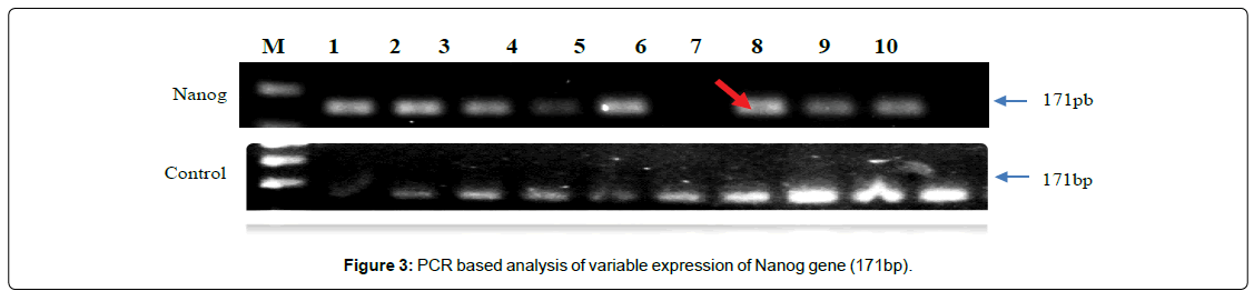regenerative-medicine-variable-expression