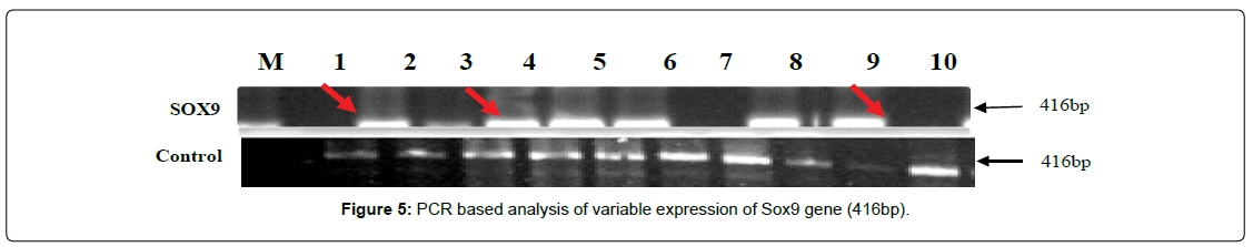 regenerative-medicine-variable-expression