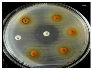 veterinary-science-diffusion