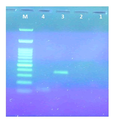 veterinary-science-primer