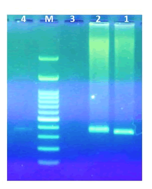 veterinary-science-primer