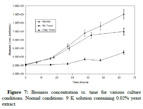 Biochemical-Bioprocess-Biomass