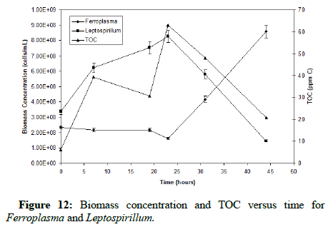 Biochemical-Bioprocess-Ferroplasma