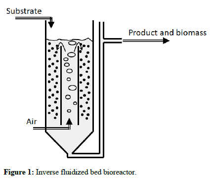 Biochemical-Bioprocess-Inverse