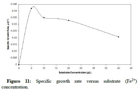 Biochemical-Bioprocess-Specific