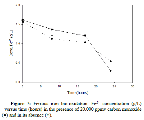 Biochemical-Bioprocess-carbon