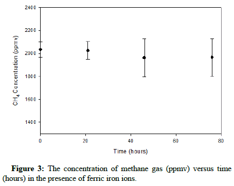 Biochemical-Bioprocess-iron