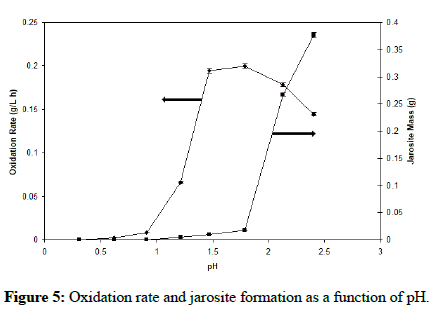 Biochemical-Bioprocess-jarosite