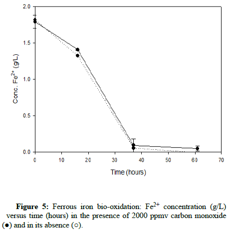 Biochemical-Bioprocess-versus