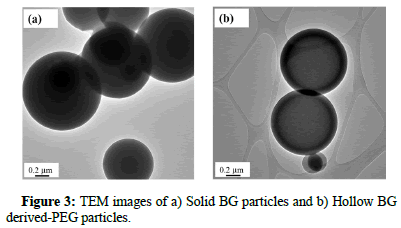 Biomaterials-Applications-Hollow