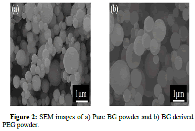 Biomaterials-Applications-Pure