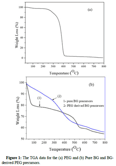 Biomaterials-Applications-precursors