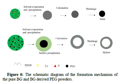 Biomaterials-Applications-schematic