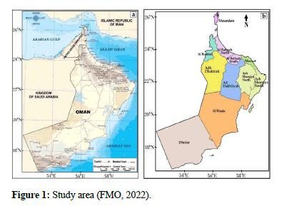 Hydrogeology-Hydrologic-Study