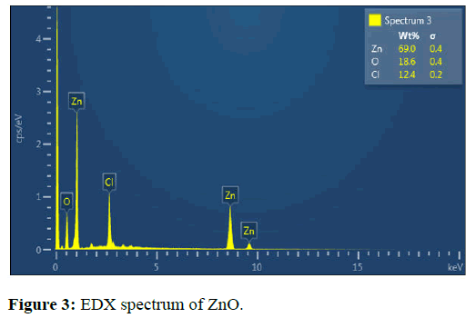 JNMN-EDX