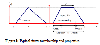 JNPGT-fuzzy