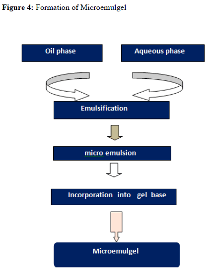 JPDDR-Formation