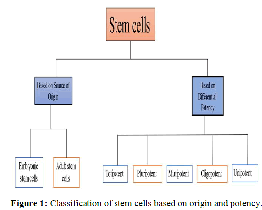 JRGM-stem