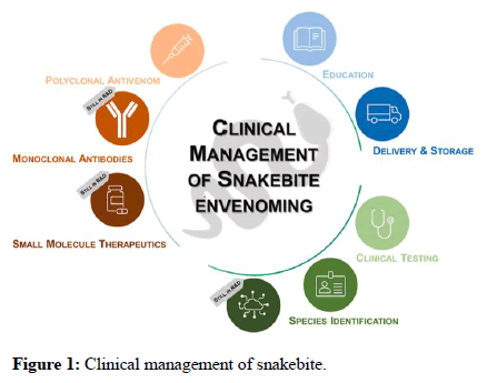 Neuroscience-Research-snakebite